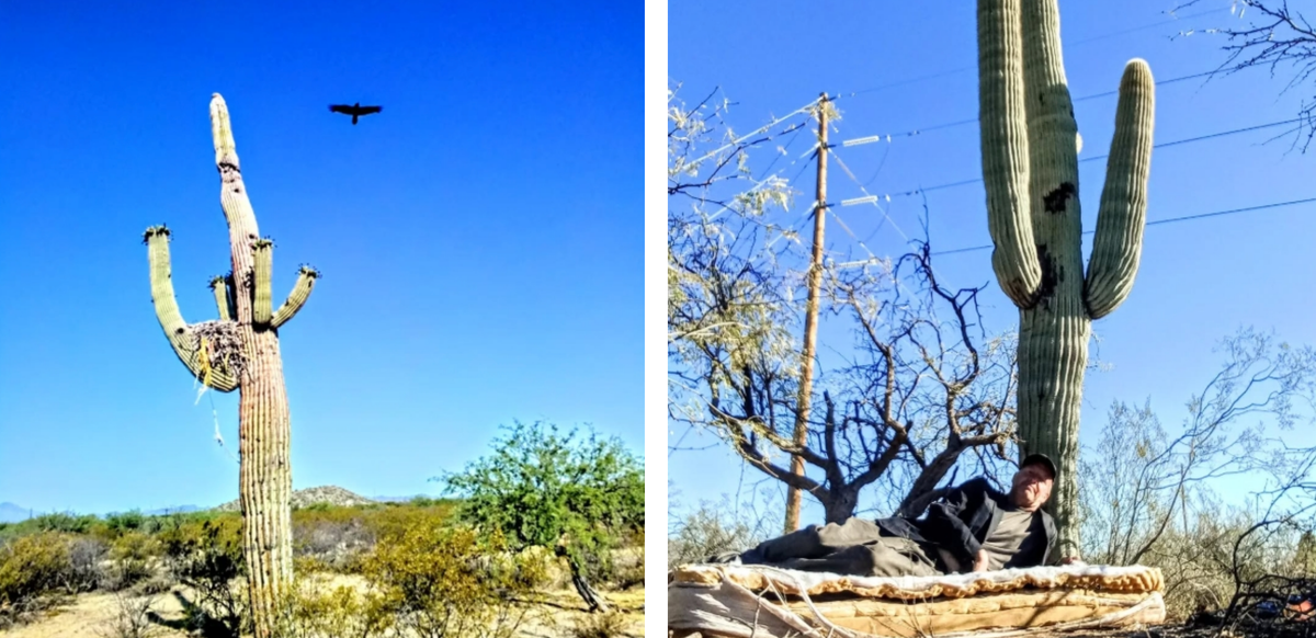 Why I Started Trying to Follow The Law