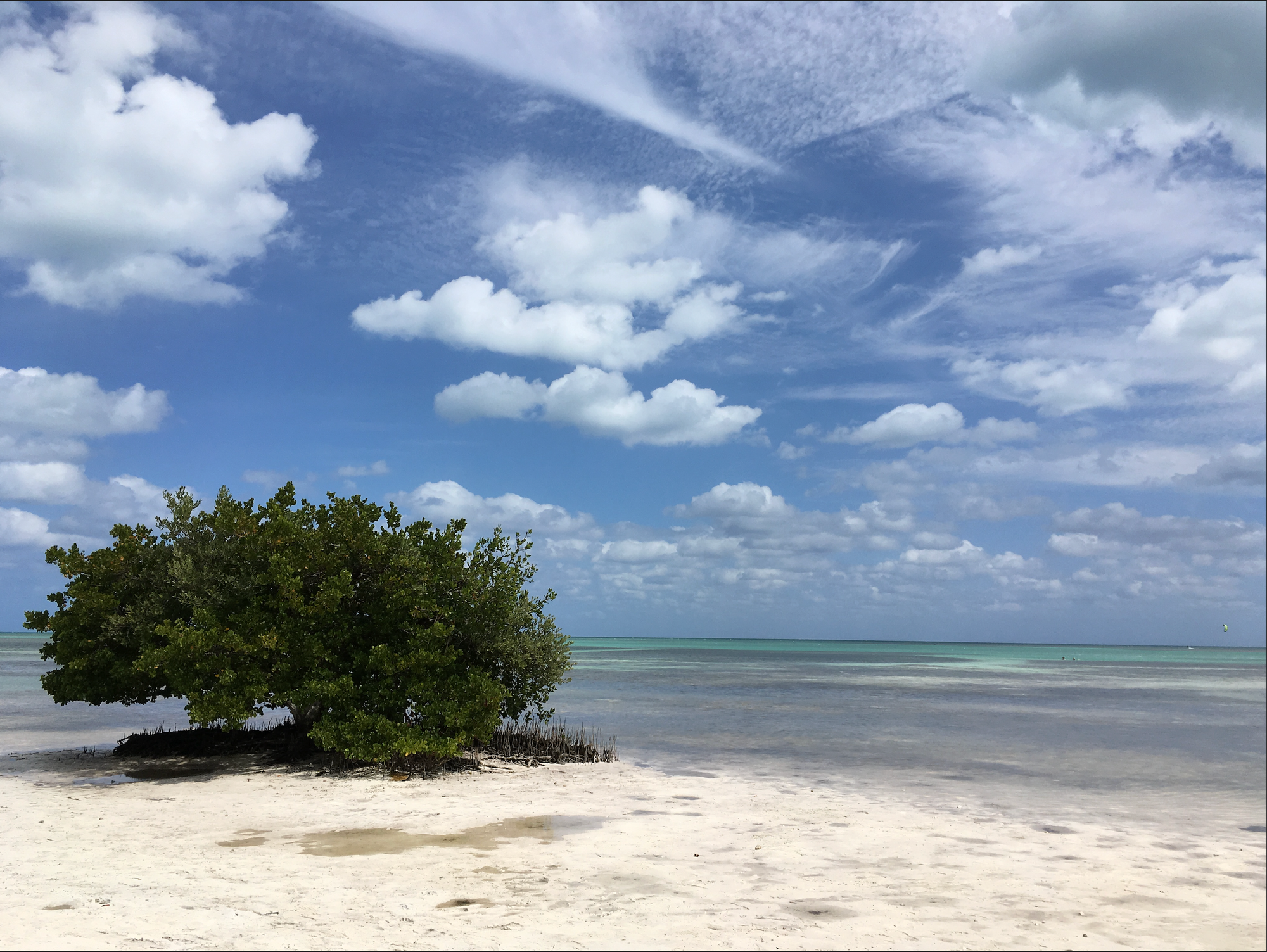 One good thing of 2025