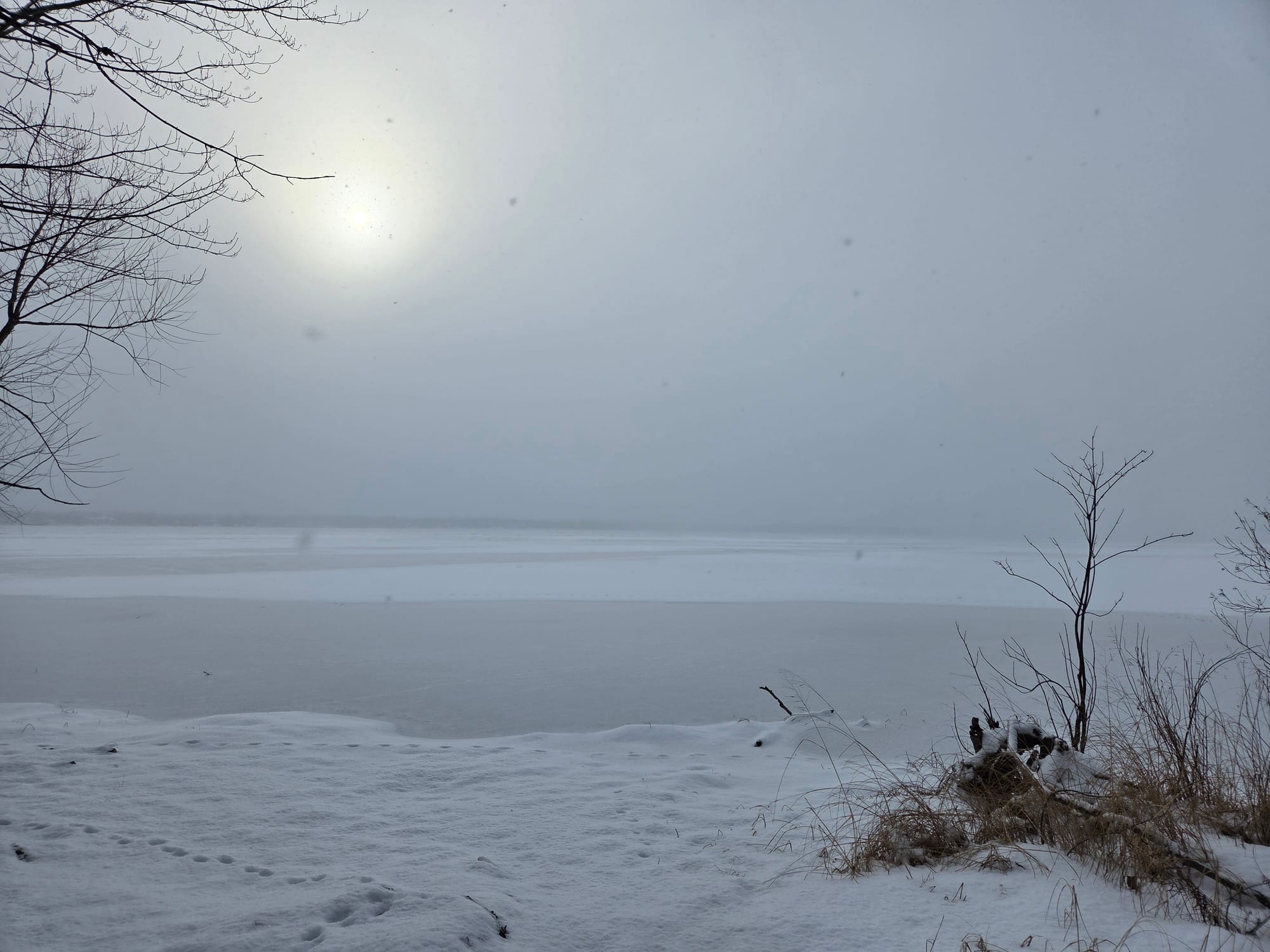 It really really really could happen