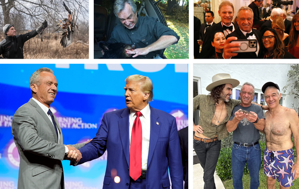 I will not give up that which I have tasted