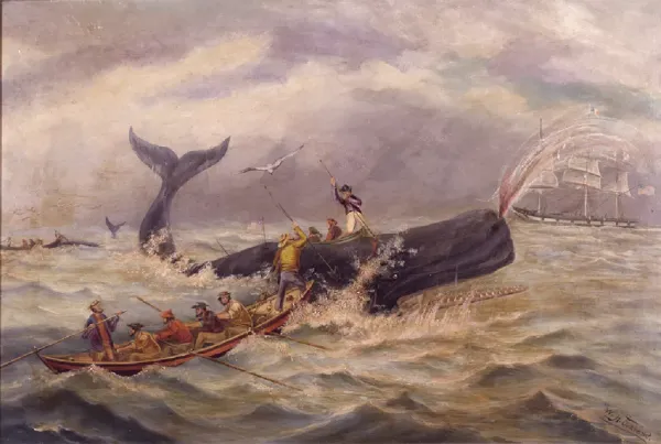 Whatever it is that’s swimming down there